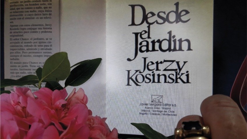 DESDE EL JARDÍN: 